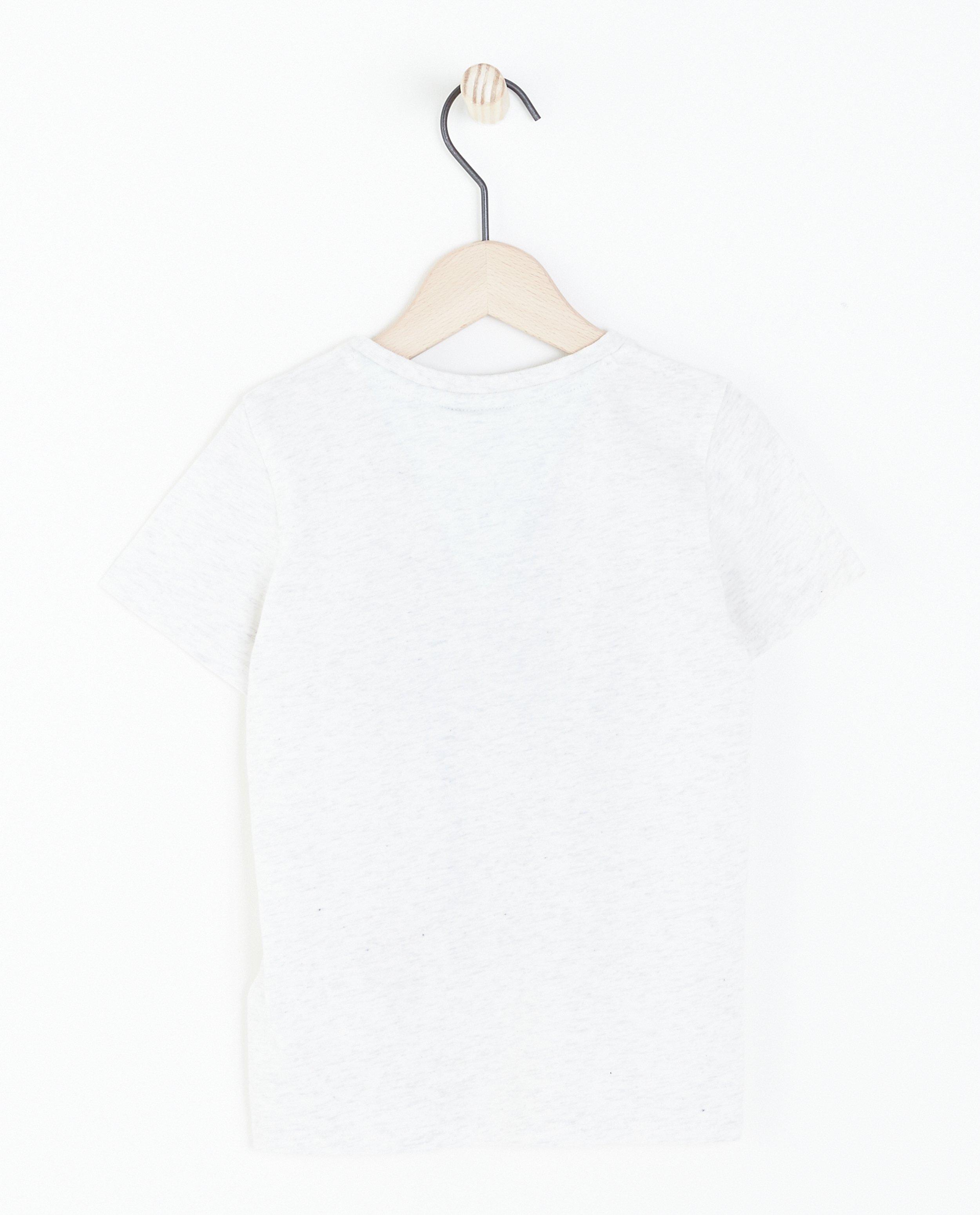 T-shirts - Lichtgrijs T-shirt RCW
