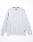 Sweats - Sweater met blauwe spikkels