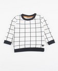 Sweater met ruitenpatroon - null - JBC