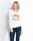 Sweaters - Zandkleurige sweater met pailletten
