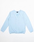 Chemises - Pastelblauwe blouse
