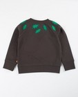 Sweats - Bruine sweater ZulupaPUWA