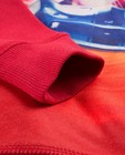 Sweaters - Rode hoodie Rox