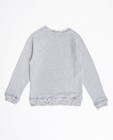 Sweats - Grijze sweater van biokatoen