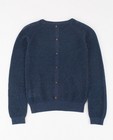 Pulls - Blauwe trui met glitterdraad