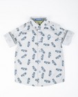 Chemises - Grijs hemd met print Rox