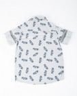 Chemises - Grijs hemd met print Rox