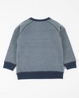 Sweats - Sweater met print Rox
