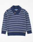 Pulls - Blauwe trui met patroon