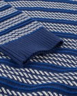 Truien - Blauwe trui met patroon