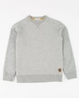 Grijze sweater - null - JBC