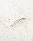 Truien - Gebreide trui met spikkels