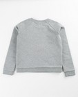 Sweats - Grijze sweater Ghost Rockers