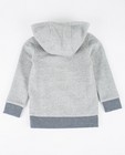 Sweaters - Grijze sweater Hampton Bays
