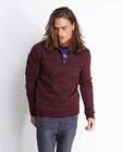 Bordeaux sweater met kraag - null - Tim Moore