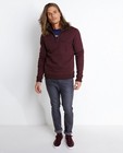 Sweaters - Bordeaux sweater met kraag