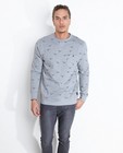 Sweaters - Grijze sweater met print