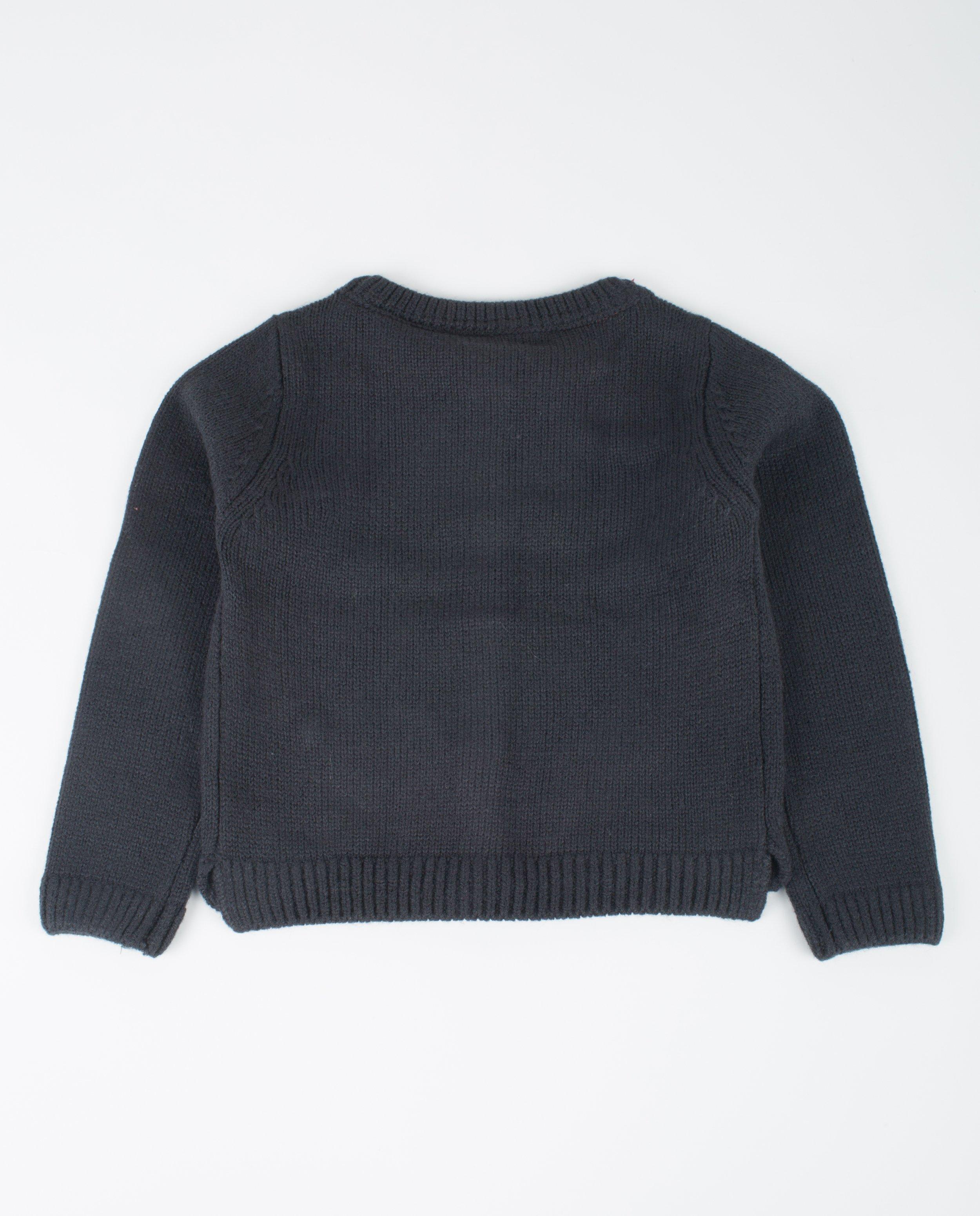 Cardigans - Cardigan van een wolmix Samson