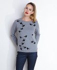 Sweats - Grijze sweater met fluwelen print