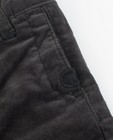 Pantalons - Grijze fluwelen broek