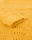 Truien - Okergele trui met broche