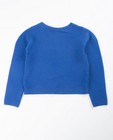 Truien - Blauwe geribde trui