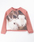 Sweaters - Ecru sweater met kat