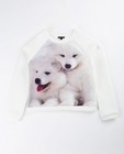 Sweats - Ecru sweater met kat