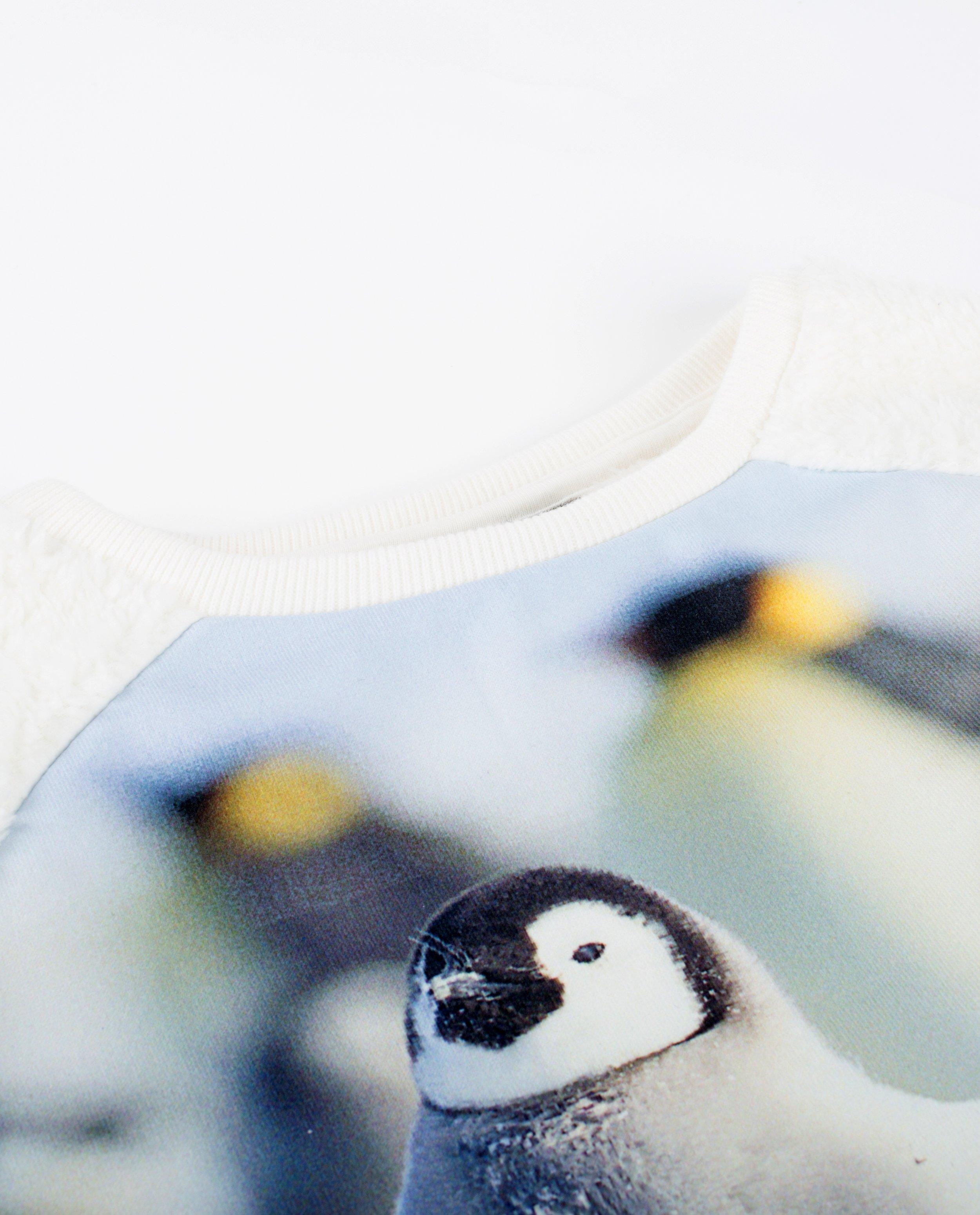 Sweaters - Zachte sweater met fotoprint
