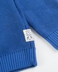 Truien - Kobaltblauwe trui