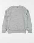 Sweats - Grijze sweater met patches