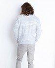Sweaters - Lichtgrijze sweater met reliëfprint