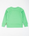 Sweaters - Groene sweater met print ZulupaPUWA