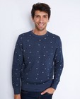 Sweaters - Grijsblauwe trui met print