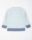 Sweaters - Lichtblauwe sweater Kaatje