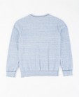 Truien - Lichtblauwe gemêleerde trui
