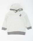 Sweaters - Zandkleurige gestreepte hoodie