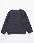 Sweats - Grijze sweater met reliëfprint 
