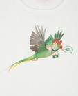 T-shirts - T-shirt met papegaaienprint Ketnet