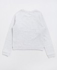 Sweaters - Lichtgrijze sweater met glitterprint