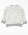 Sweaters - Grijze sweater met opdruk Maya
