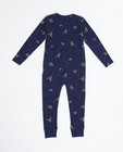 Pyjamas - Pyjama met dinosaurusprint