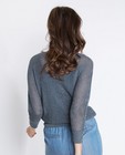 Truien - Grijsblauwe trui met metaaldraad