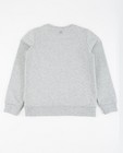 Sweats - Grijze sweater met print + reliëf