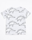 T-shirts - Lichtgrijs T-shirt met dinoprint