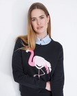 Sweaters - Zwarte sweater met flamingo Youh!