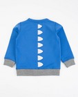Sweaters - Donkerblauwe sweater met rugdetail