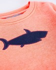 Sweaters - Fluo-oranje sweater met haai