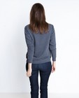Sweaters - Grijze sweater met paillettenprint