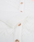 Cardigan - Witte cardigan met zigzagmotief